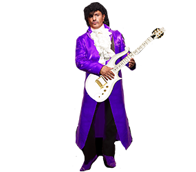 Prince Guitar