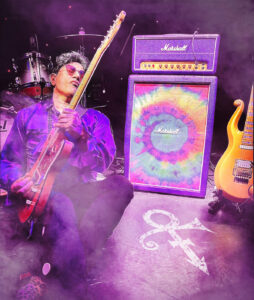 prince-guitar-5